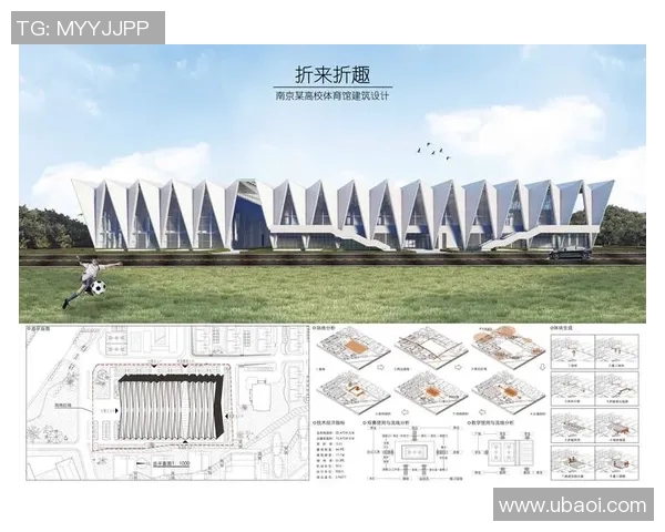 运动员专属天地体育馆内部设计理念与功能布局深度解析
